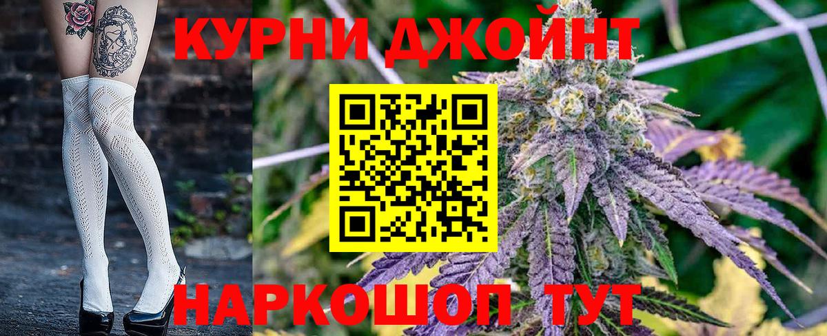Марихуана сатива  МАРИХУАНА ГИДРОПОН  Кохма  Марихуана планчик  Вход с VPN 